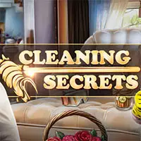 Cleaning Secrets