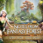 Notes from Fantasy Forest