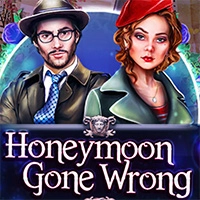 Honeymoon Gone Wrong