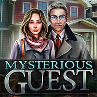 Mysterious Guest
