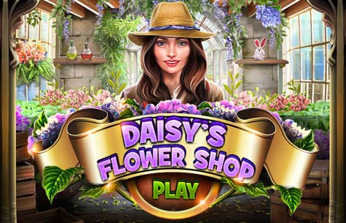 Image Daisys Flower Shop